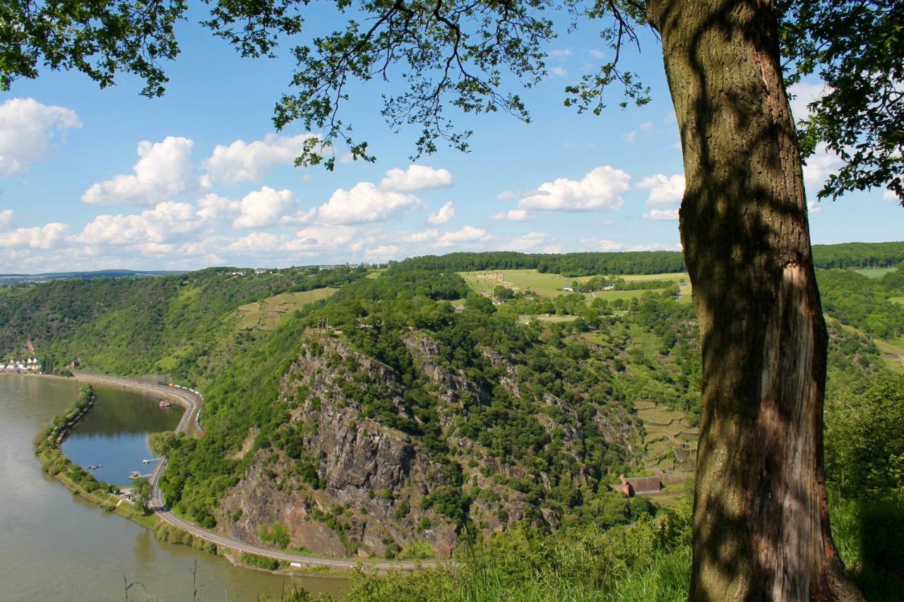 Ferienwohnung Auf Der Moselhoehe - Naehe Koblenz Und Cochem Dieblich Exterior foto
